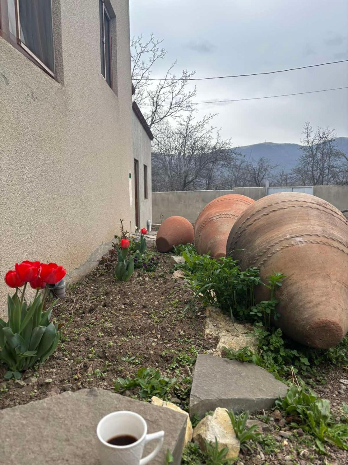 Saro B&B And Safari Tours Tatev Exterior foto